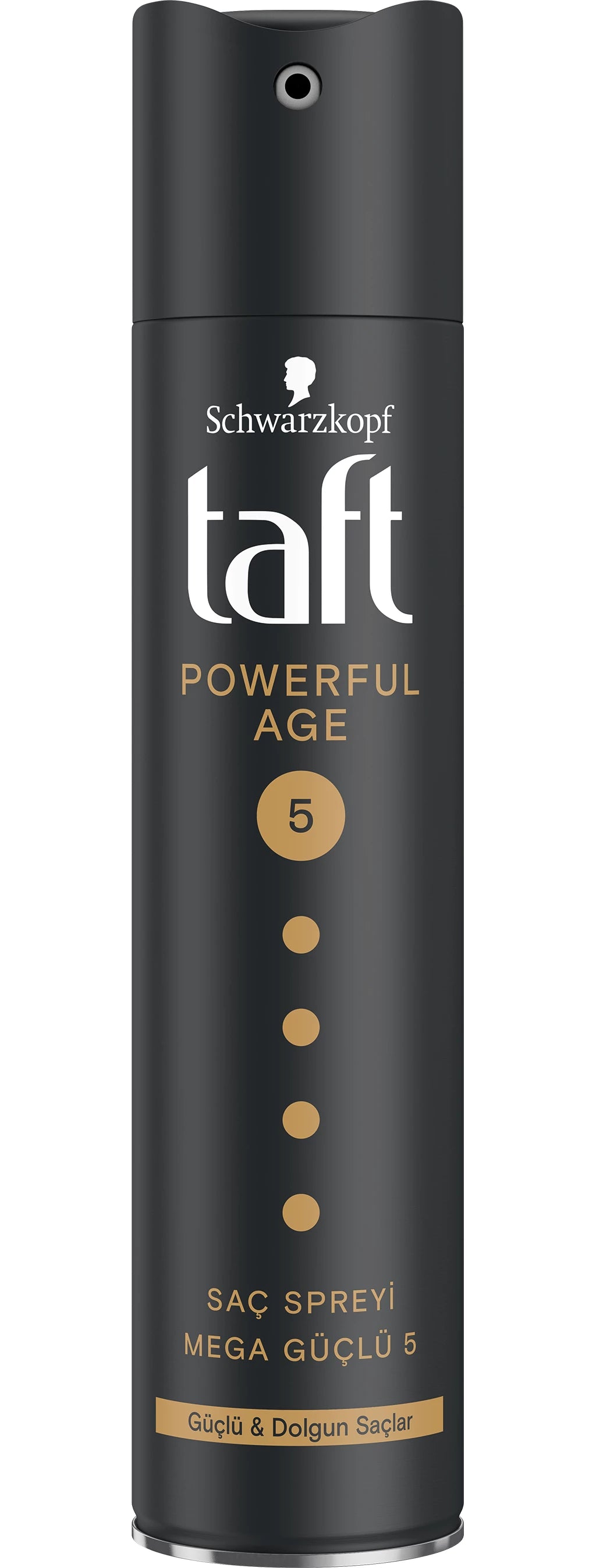 Taft Powerful Age Saç Spreyi 250 ml