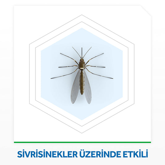 Raid Elektro Likit 45 Gece Sinek Kovucu (1 x 27,4 mL)