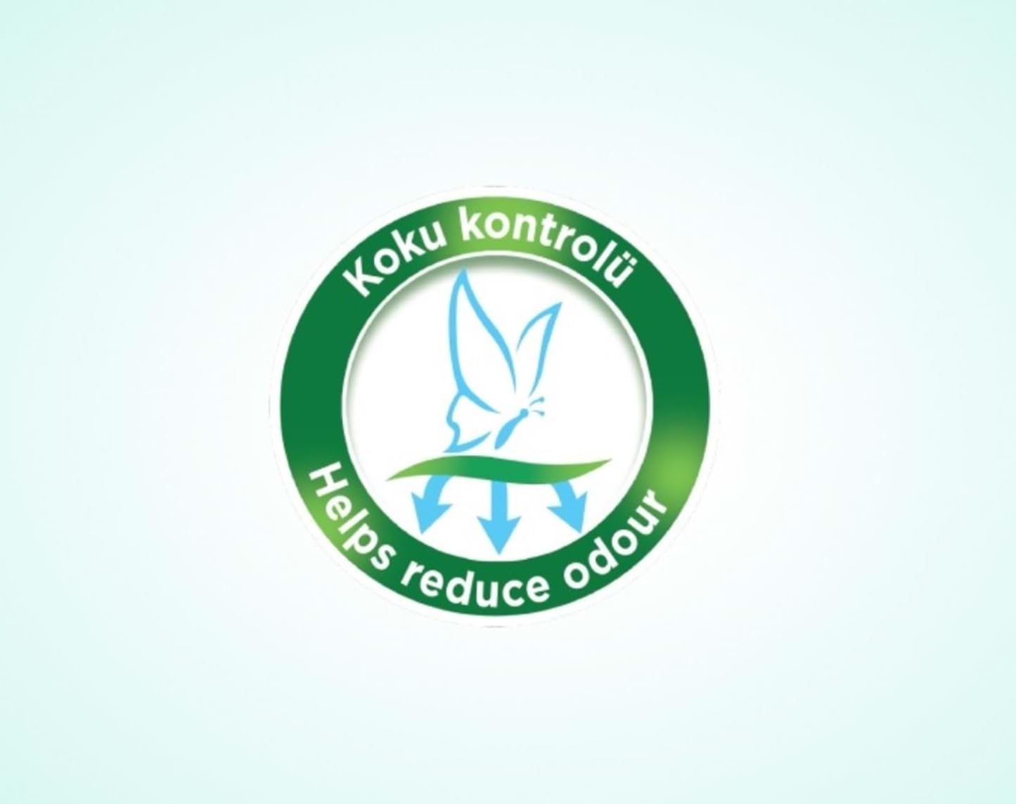 Evony Yetişkin Hasta Bezi Emici Külot Large Standart 30 Adet