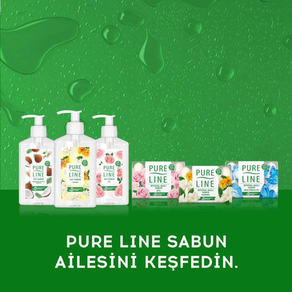 Pure Line HİNDİSTAN CEVİZİ & VANİLYA Sıvı Sabun 1 Paket (1 x 280 ml)