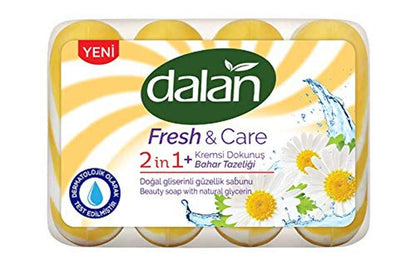 Dalan Fresh and Care Okyanus Esintisi 1 Paket (1 x 360 g)