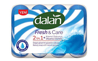 Dalan Fresh and Care Okyanus Esintisi 1 Paket (1 x 360 g)